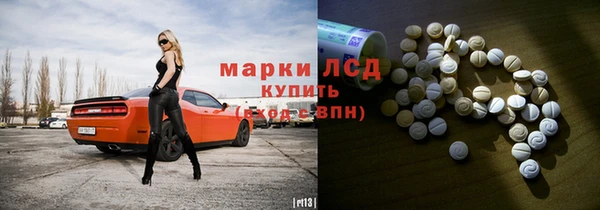 сатива Краснослободск