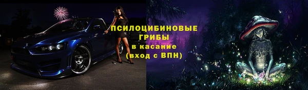 сатива Краснослободск
