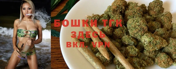 сатива Краснослободск