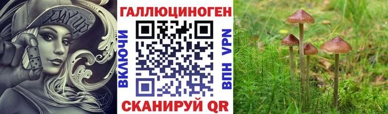 Галлюциногенные грибы мухоморы  Купить закладки  Змеиногорск 